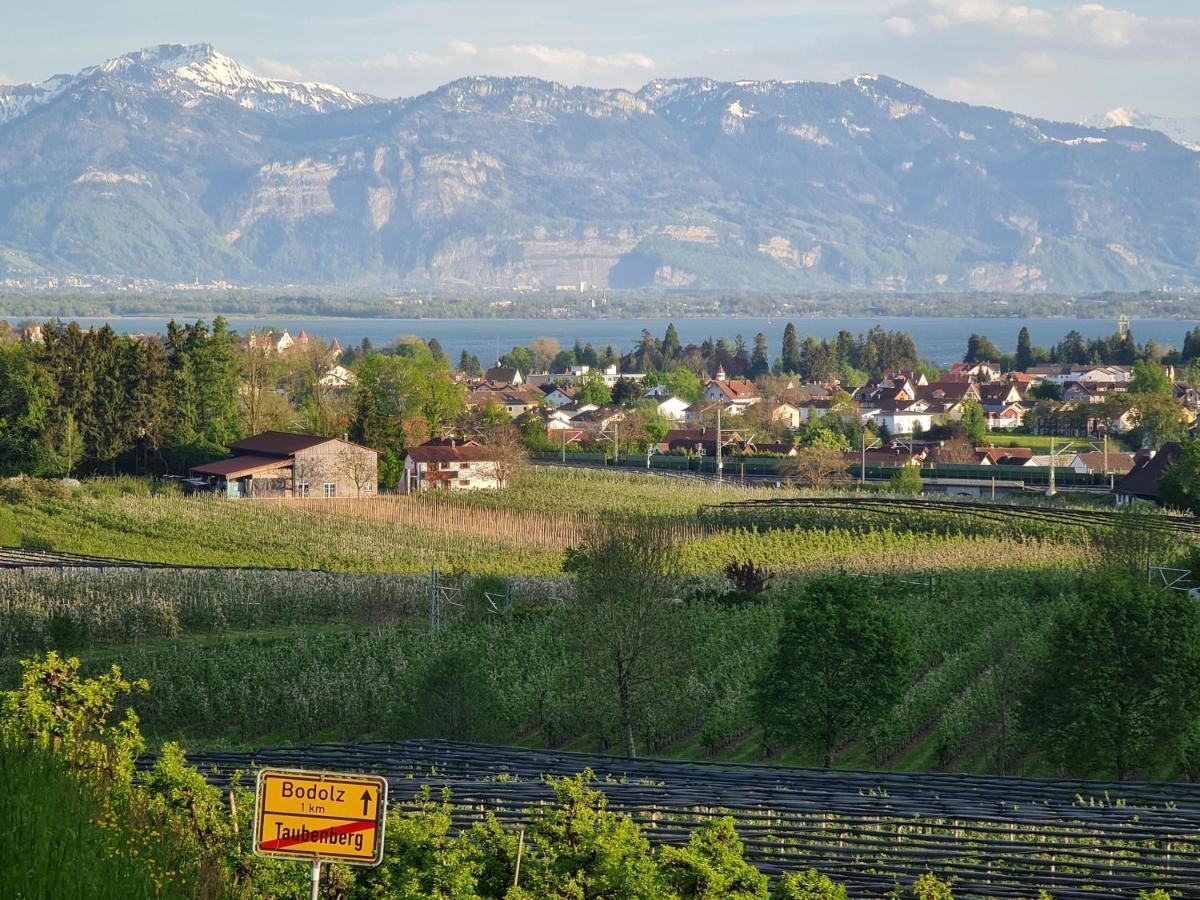 Alpenblick 1 Appartement